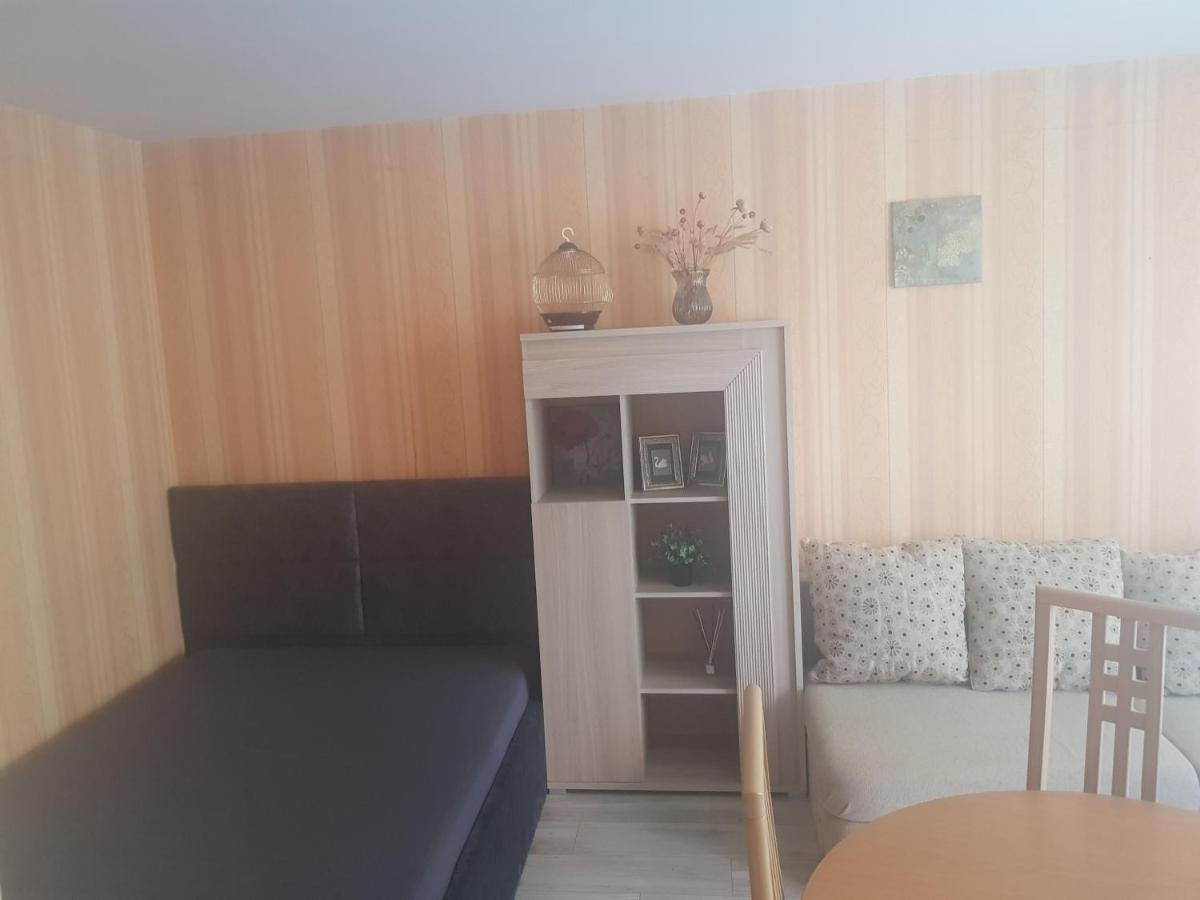 Danes Apartment By The River Klaipėda Esterno foto